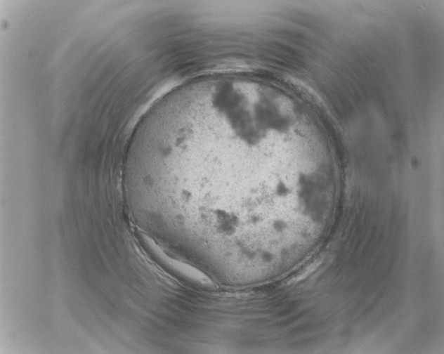 X0000061741409200512302200