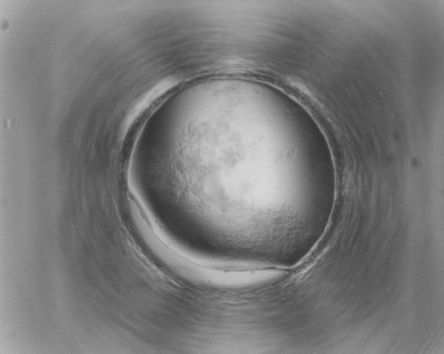 X0000061741410200512302200