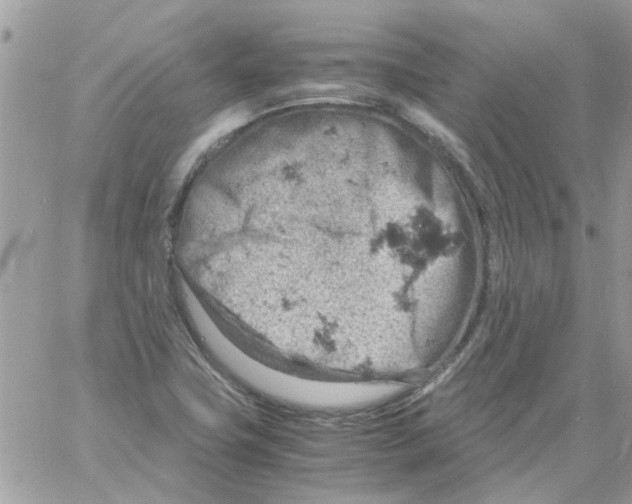 X0000061741411200512302200