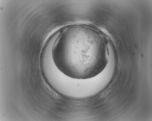 X0000061741412200512302200