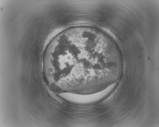 X0000061741413200512302200