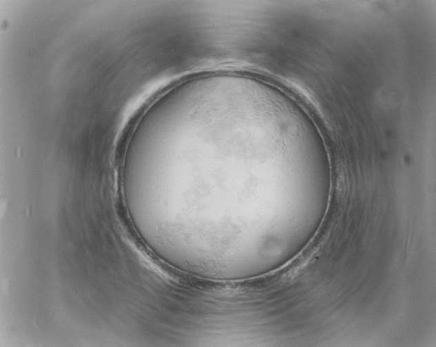 X0000061741414200512302200