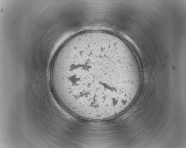 X0000061741416200512302200