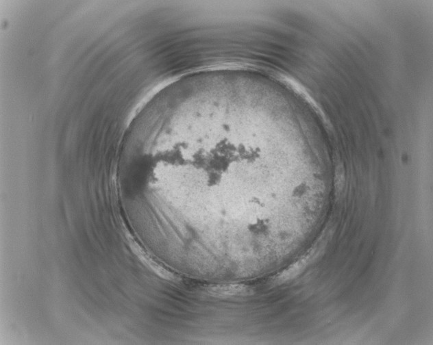 X0000061741417200512302200