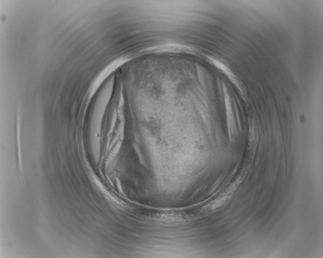 X0000061741418200512302200