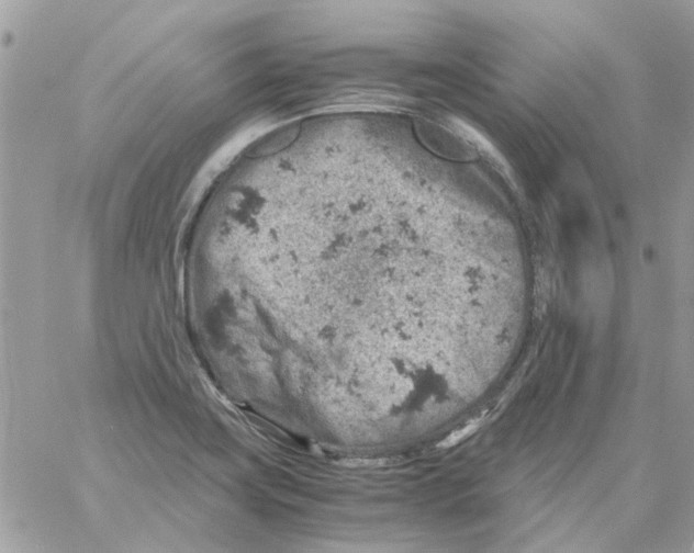 X0000061741419200512302200