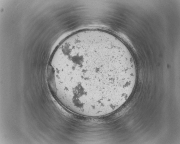 X0000061741420200512302200