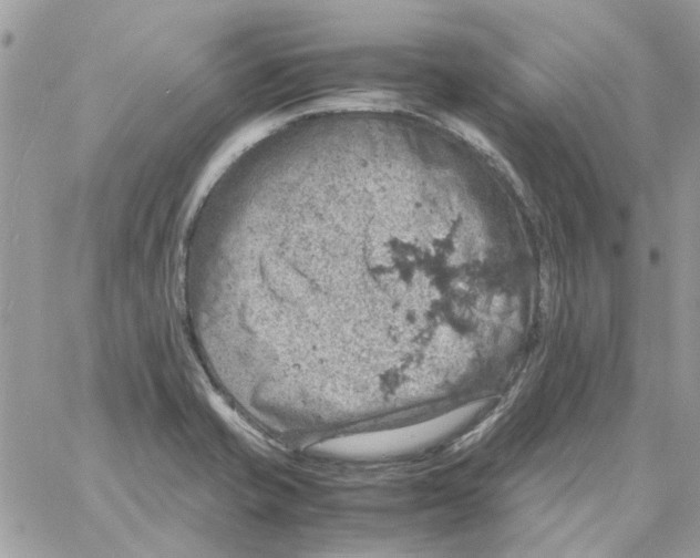 X0000061741421200512302200