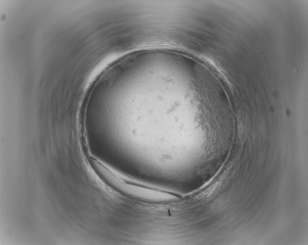 X0000061741422200512302200