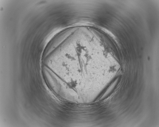 X0000061741423200512302200