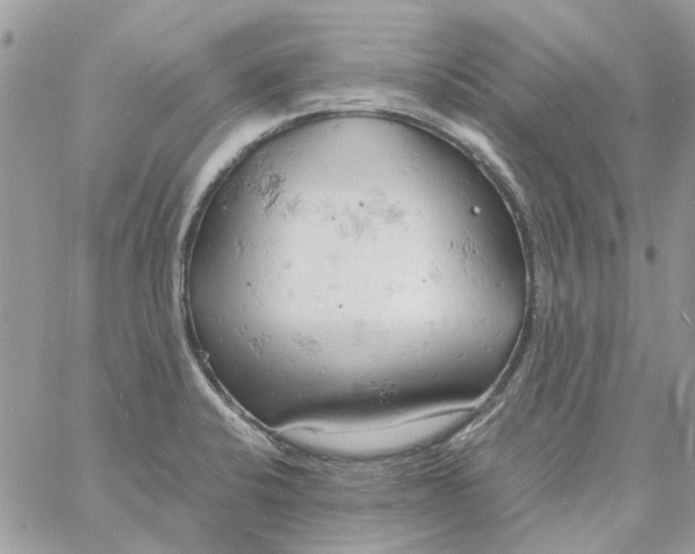 X0000061741424200512302200