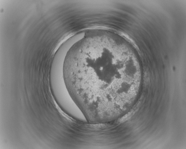 X0000061741425200512302200