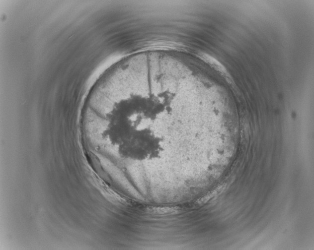 X0000061741427200512302200