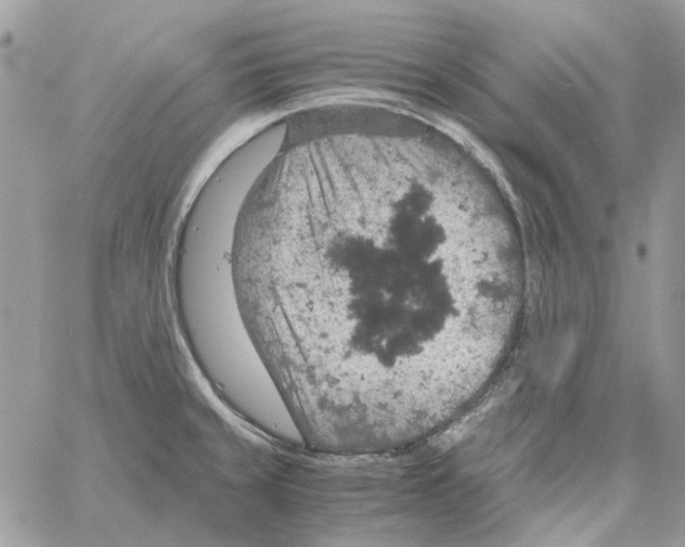 X0000061741429200512302200