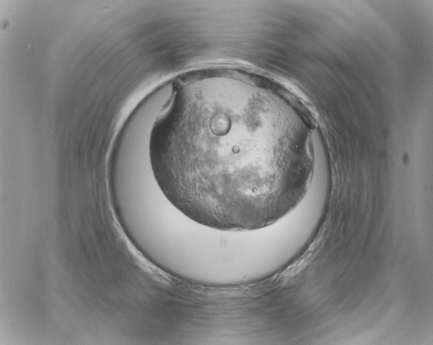 X0000061741430200512302200