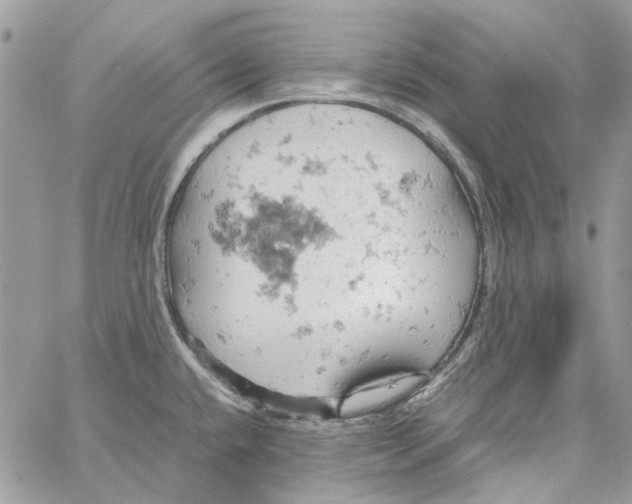 X0000061741432200512302200