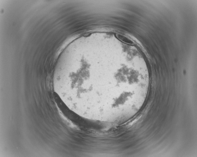 X0000061741433200512302200