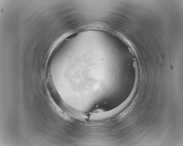 X0000061741434200512302200