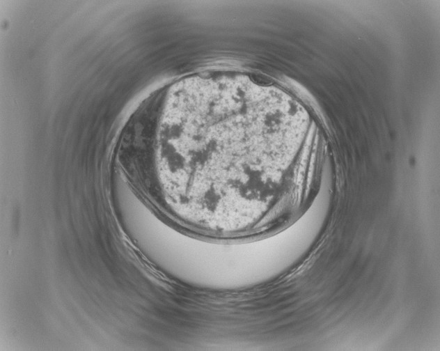 X0000061741435200512302200