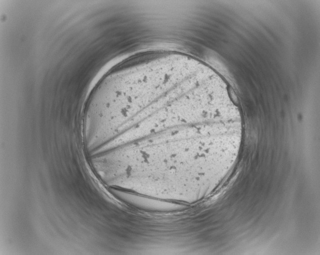 X0000061741436200512302200