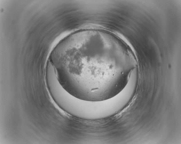 X0000061741437200512302200