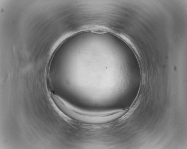 X0000061741438200512302200