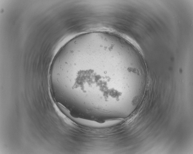 X0000061741439200512302200