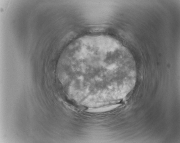 X0000061741441200512302159