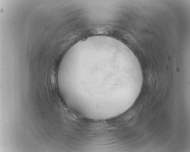 X0000061741442200512302159