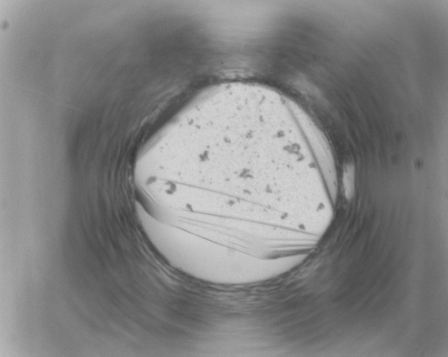 X0000061741444200512302159