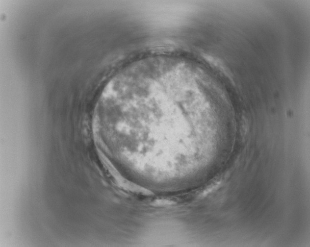 X0000061741445200512302159