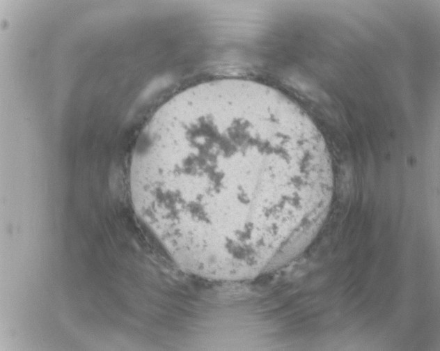 X0000061741446200512302159