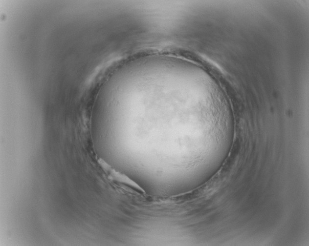 X0000061741447200512302159