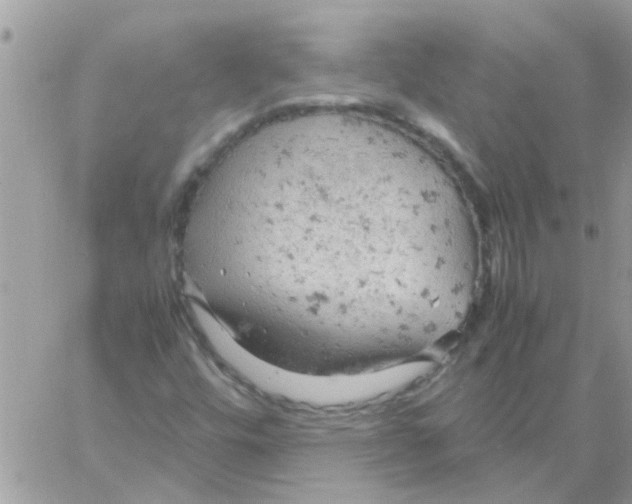 X0000061741448200512302159