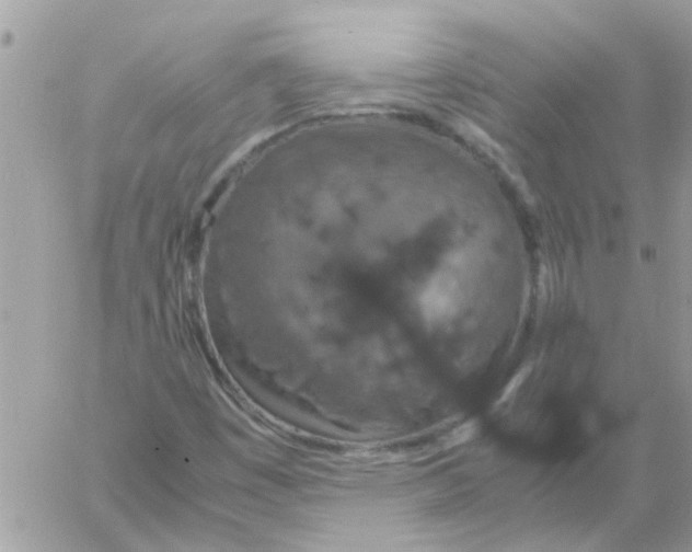 X0000061741449200512302159