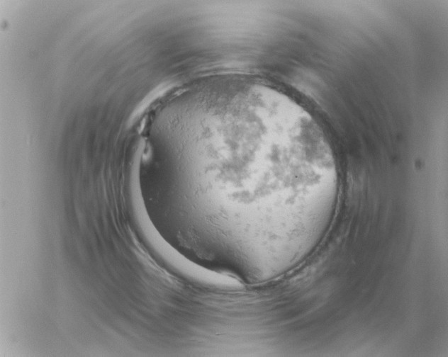 X0000061741450200512302159