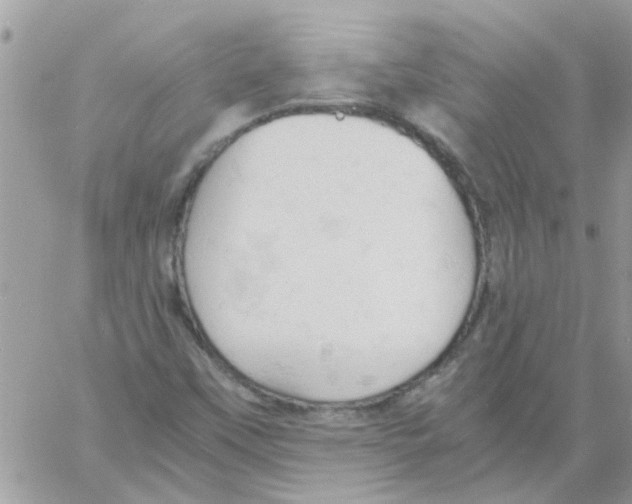 X0000061741451200512302159