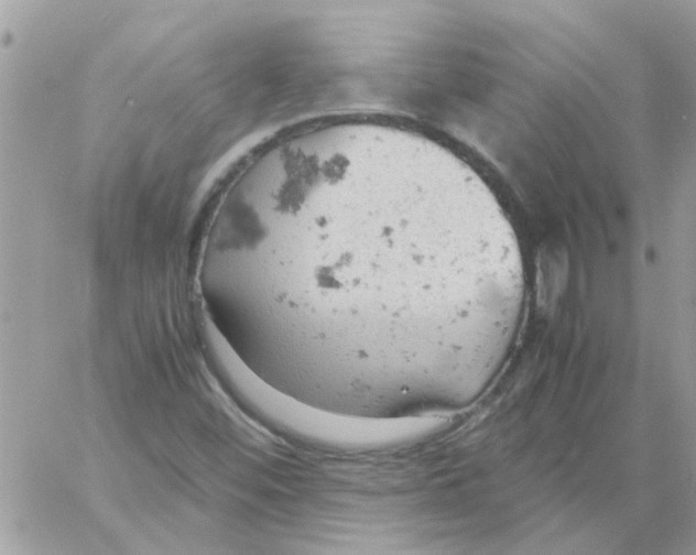 X0000061741452200512302159