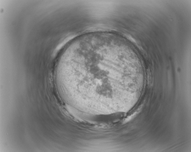 X0000061741453200512302159