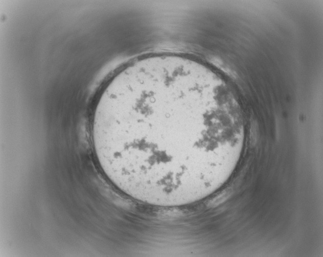 X0000061741454200512302159