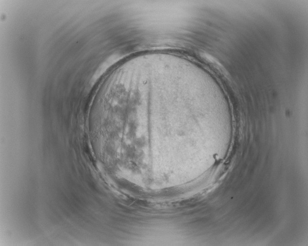 X0000061741457200512302159