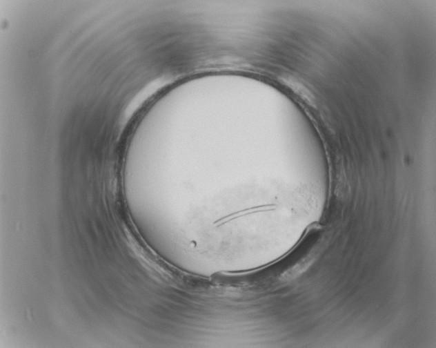 X0000061741458200512302159