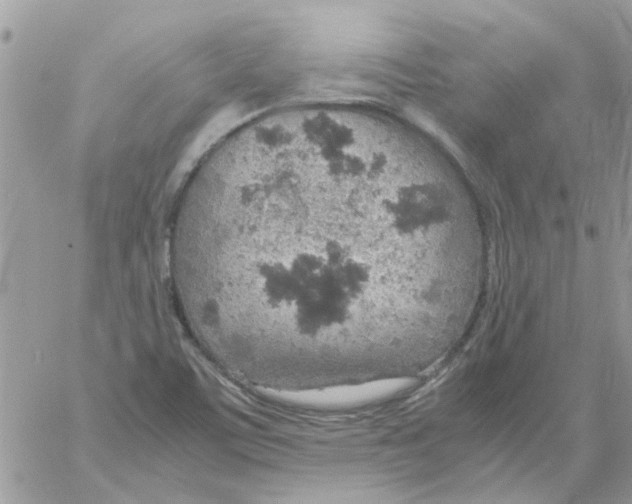 X0000061741459200512302159