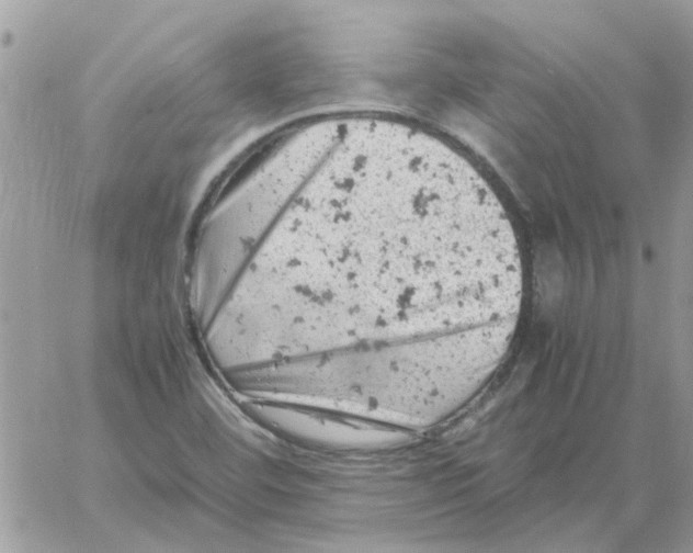 X0000061741460200512302159