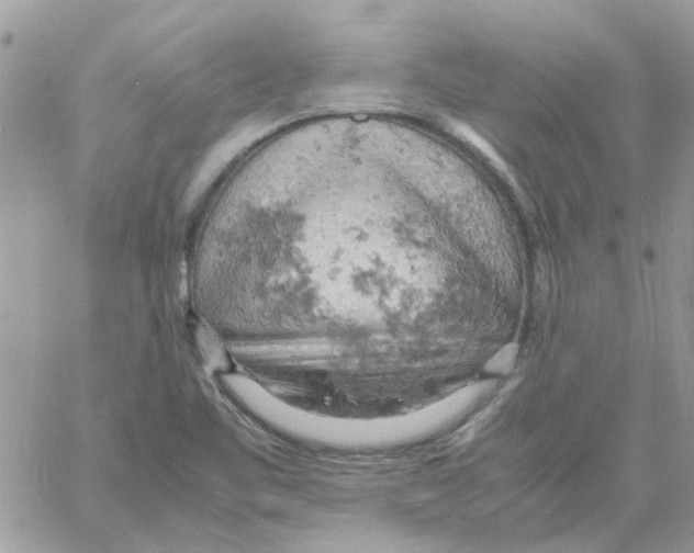 X0000061741461200512302159