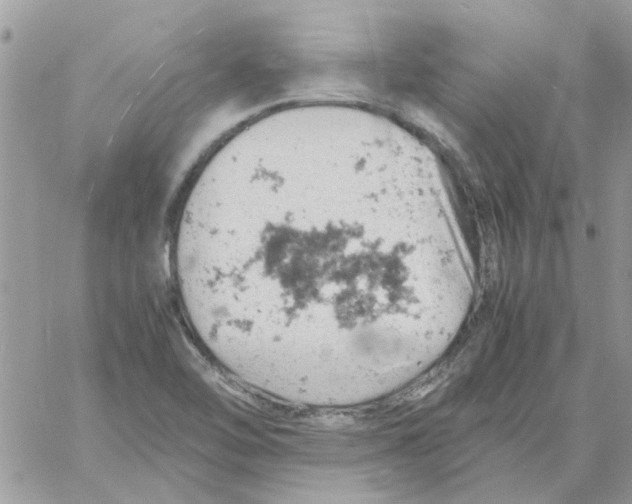 X0000061741462200512302159