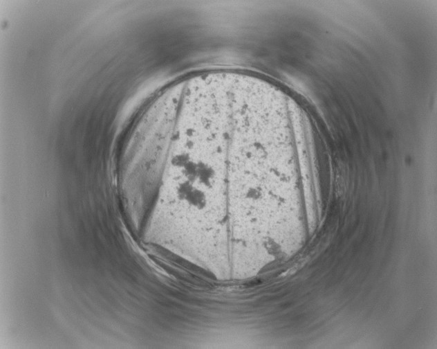 X0000061741464200512302159