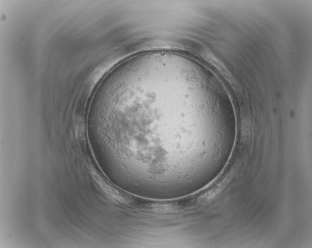 X0000061741465200512302159