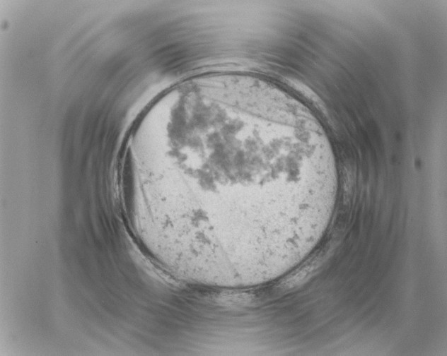 X0000061741466200512302159