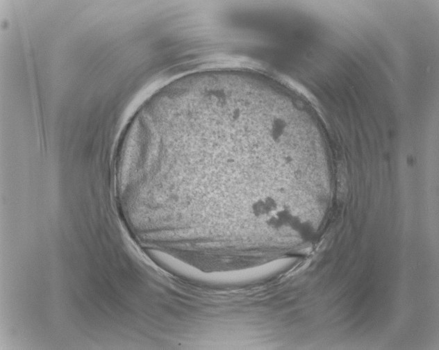 X0000061741467200512302159